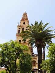 Fototapeta na wymiar Turm der Mezquita-Catedral, Cordoba