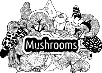 mushrooms3