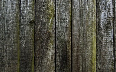 Obraz premium The old boards