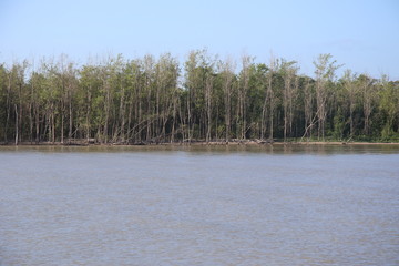 Guyane - Les îles du Salut - Août 2015