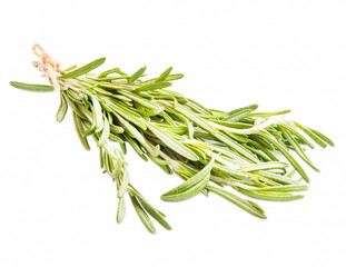Rosemary Herb Isolated