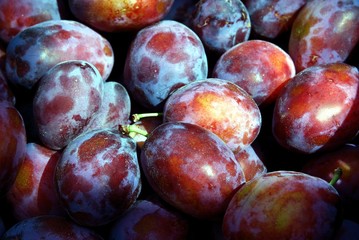 lila,ripe plums