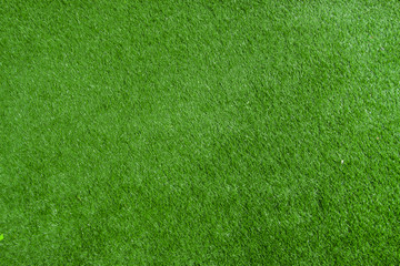 Pattern of fresh green lawn
