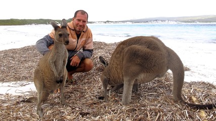 kangourou, Australie