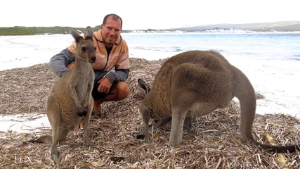 Photo sur Plexiglas Kangourou kangourou, Australie