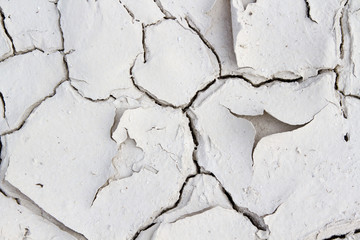 Land with dry and cracked ground. Desert