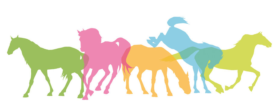 Pferde Silhouetten