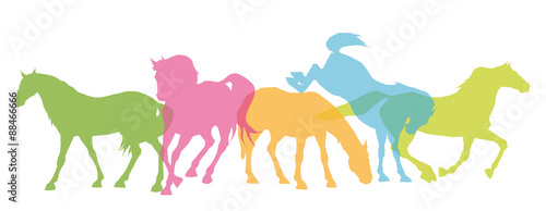  Pferde Silhouetten Stockfotos Und Lizenzfreie Bilder Auf Fotolia Bild 88466666