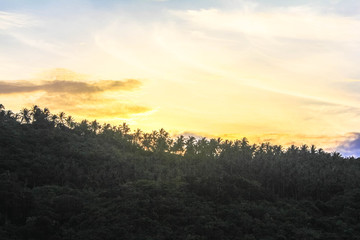 Fototapeta premium Beautiful Sunset With Mountains and Palms in Koh Samui. Thailand
