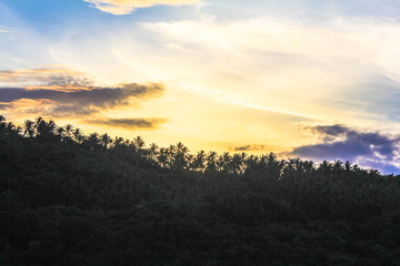 Naklejka na ściany i meble Beautiful Sunset With Mountains and Palms in Koh Samui. Thailand