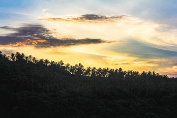 Obraz premium Beautiful Sunset With Mountains and Palms in Koh Samui. Thailand