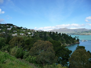 Landschaft, Natur und Wildnis auf der Südinsel Neuseelands