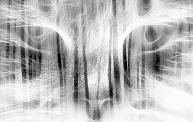 black and white double exposured cat portrait