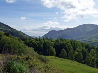 Naklejka premium Landschaft, Natur und Wildnis auf der Südinsel Neuseelands