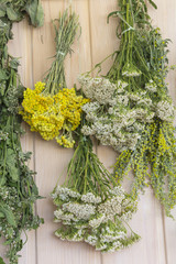 Herbs dried in bunches. On a wooden wall