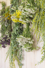 Herbs dried in bunches. On a wooden wall