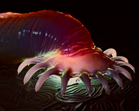 Gyrodactylus aquatic parasite on the skin of a salmon close-up view