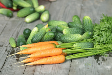 fresh crop of carrots and cucumbers