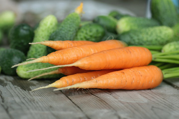 fresh crop of carrots and cucumbers