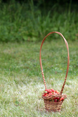 Fototapeta na wymiar Strawberry in a basket on nature