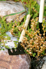 garden tools rake shovel