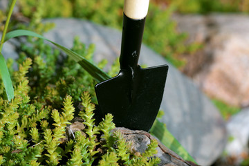 garden tools rake shovel