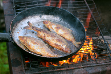 fish frying in oil on the fire