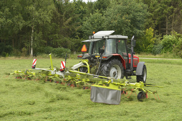 Agriculture, shaking of the mown grass with red tractor with Ted