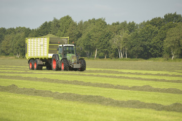 Agriculture, transport of cut grass with green tractor and grass