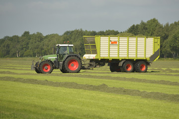 Obraz premium Agriculture, transport of cut grass with green tractor and grass