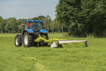 Agriculture, pasture mowing with blue tractor . © TOF