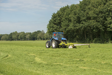 Agriculture, pasture mowing with blue tractor .