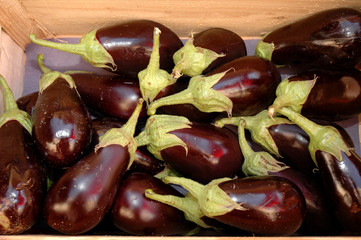 Aubergines 8