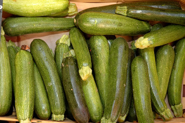 Courgettes 7