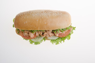 sandwich isolated on white background