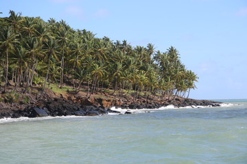 Guyane - Les Îles du Salut -  Août 2015