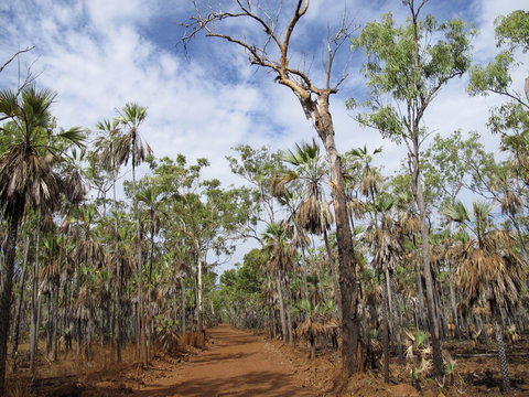 outback road, australia