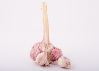 Bulb of garlic and a clove, isolated