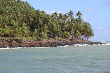 Guyane - Les Îles du Salut - Août 2015