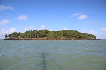 Guyane - Les &Icirc;les du Salut - Ao&ucirc;t 2015