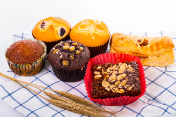 Sweet cup cake isolated