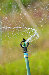 Fototapeta premium Water Sprinkler