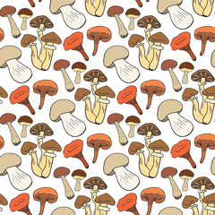 Hand drawn mushrooms seamless pattern in color. Doodle sketch vector background with edible mushrooms. Healthy food.