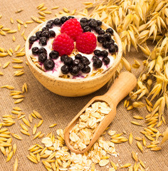 oat grain and oatmeal with fresh fruits