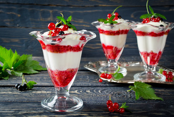 Redcurrant yoghurt with peppermint