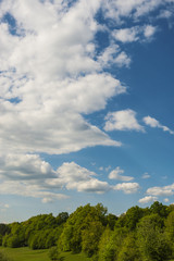 Beautiful summer landscape