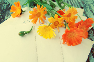 Yellow summer flowers of a calendula and ancient empty photographs on a wooden surface. Nostalgic summer background with a bouquet from a marigold. Festive card.