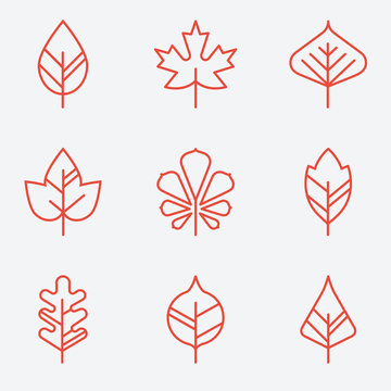 Leaf icons, thin line style, flat design