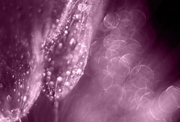 Glittering holiday card background