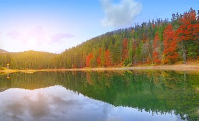 picturesque lake in the autumn forest